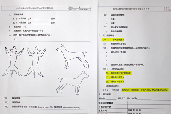 金沙官方登录入口