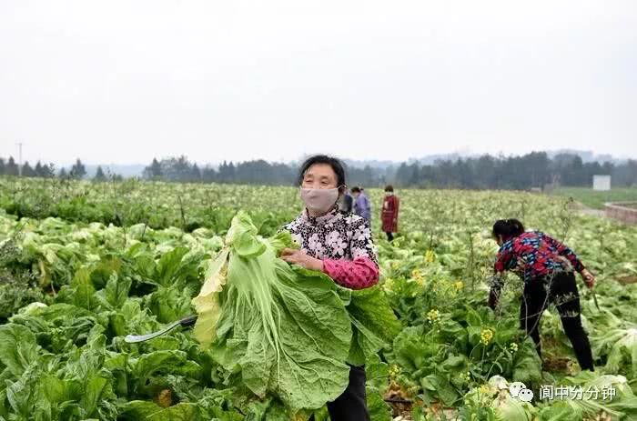 金沙官方登录入口