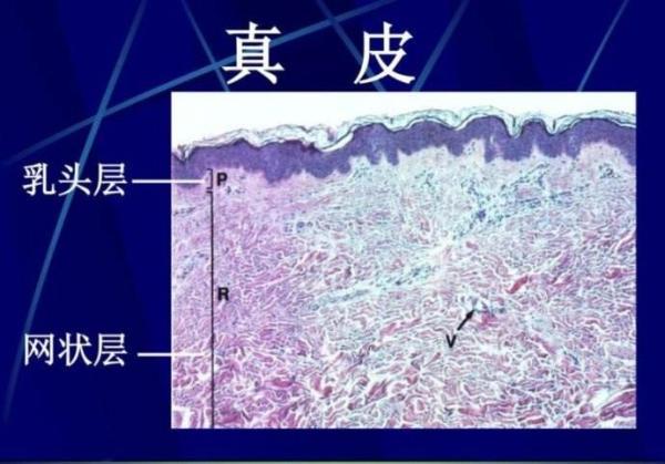 金沙官方登录入口