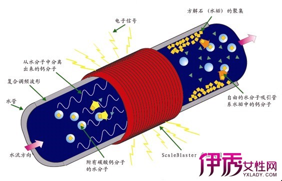 金沙官方登录入口