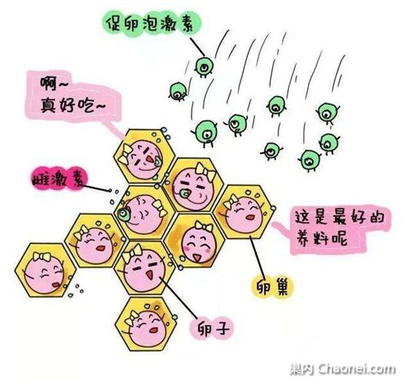 金沙官方登录入口