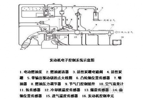 金沙官方登录入口